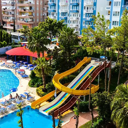 Ark And Hotel